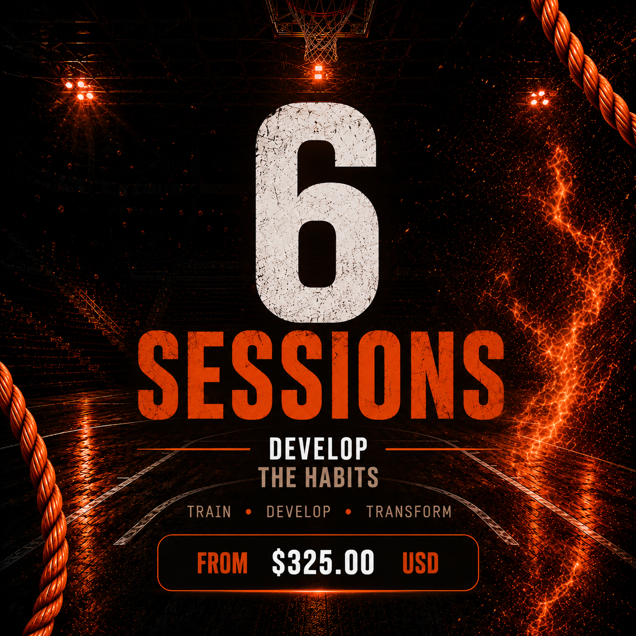 6 Training Sessions