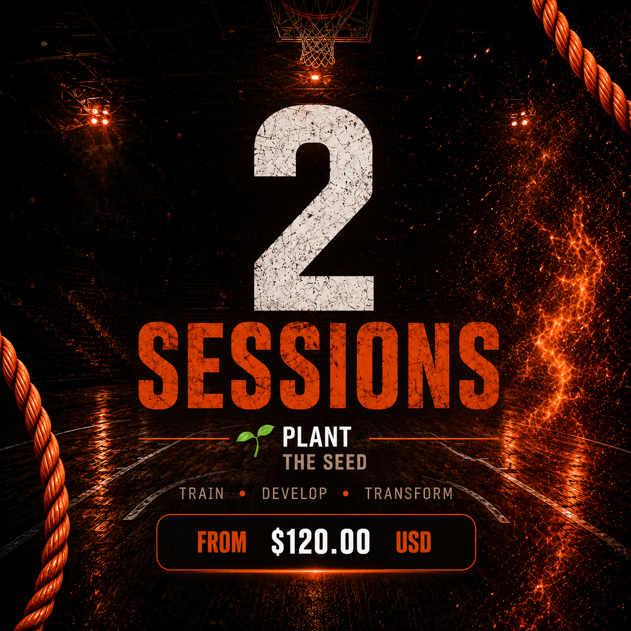 2 Training Sessions